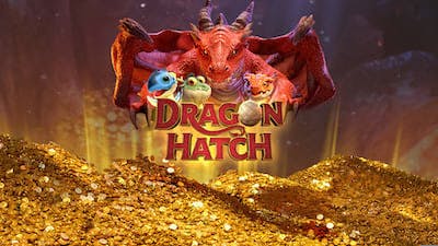Dragon Hatch Análise